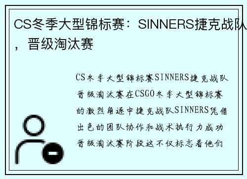 CS冬季大型锦标赛：SINNERS捷克战队，晋级淘汰赛